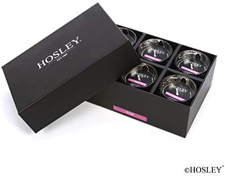Hosley Premium Scented Glass Filled Votive Candles 6-Pack Rose