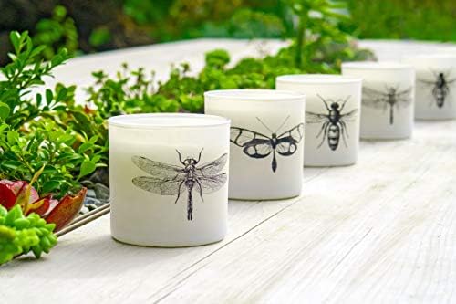 Skeem Design Citronella Votive Candles 3-Piece Set