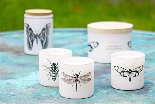 Skeem Design Citronella Votive Candles 3-Piece Set
