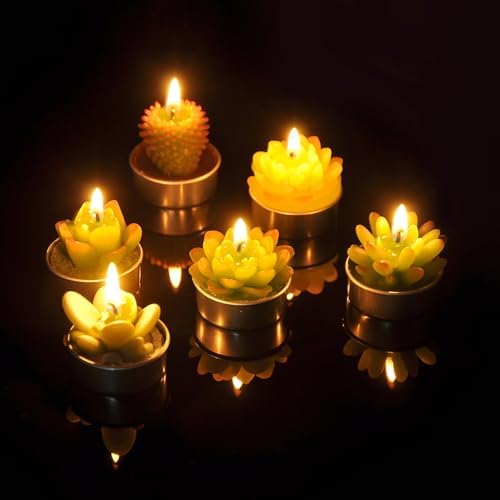 Delicate Cactus Tealight Candles