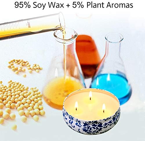 Hausware Citronella Candles Set of 3 Large 135 Oz