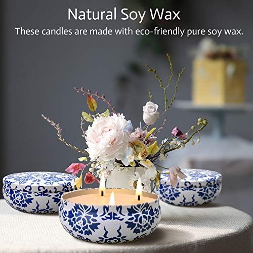Hausware Citronella Candles Set of 3 Large 135 Oz