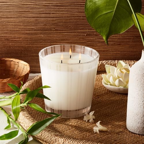 NEST New York Candle Set - Bamboo Grapefruit