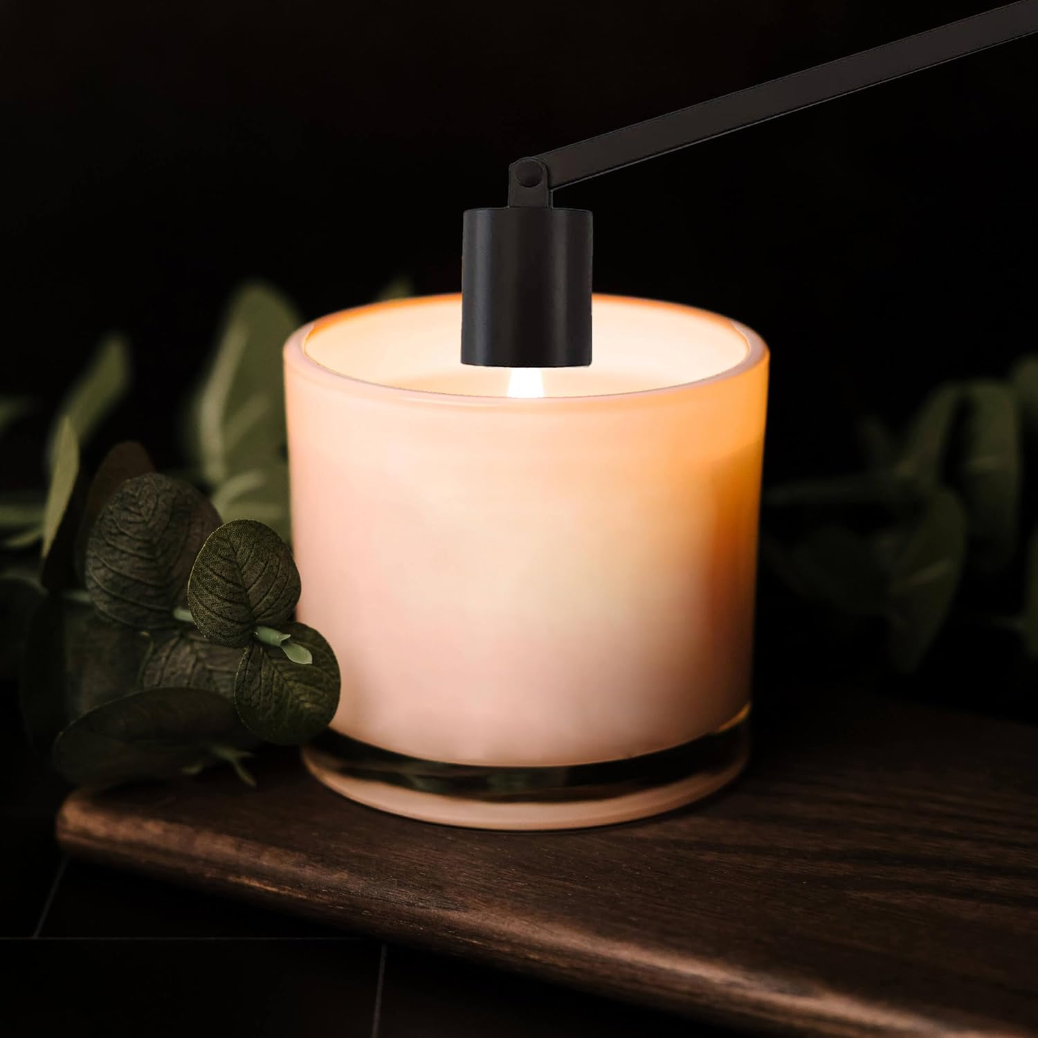 JHZABPO Quick Extinguish Candle with Long Handle