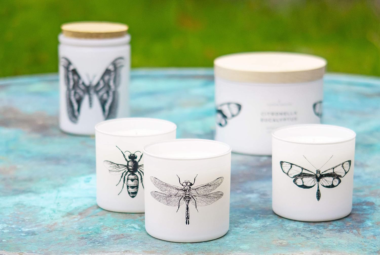 Skeem Design Citronella Votive Candles 3-Piece Set
