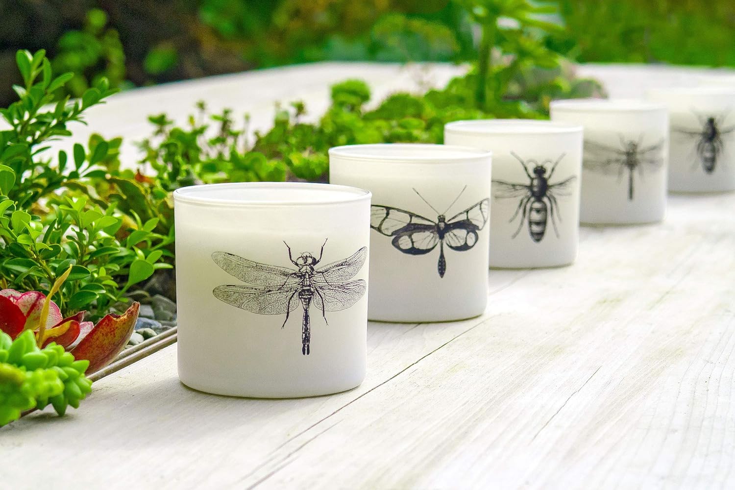 Skeem Design Citronella Votive Candles 3-Piece Set